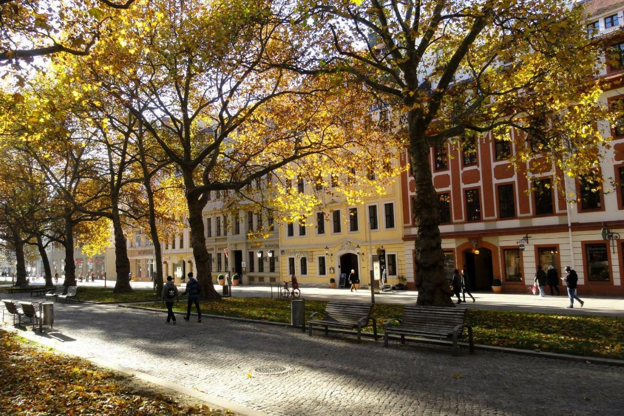 Fewo CANALETTO im Stadtzentrum Drezno Zewnętrze zdjęcie